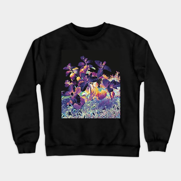 Nightshade Crewneck Sweatshirt by Shanzehdesigns